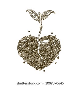 Young plant growing in the soil of the heart shape. Engraving style. Vector illustration.