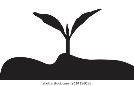 A young plant growing from the soil. Growing Plant Silhouette Black and White, Blooming Plant