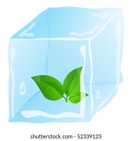 Young plant in ice cube