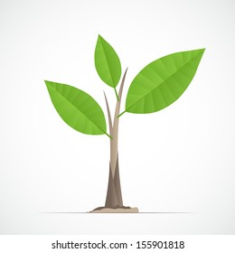 Young plant image - Vector illustration