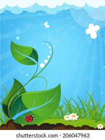 Young plant and ladybug on a sunny meadow