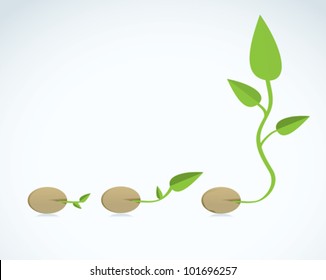 Young plant life process