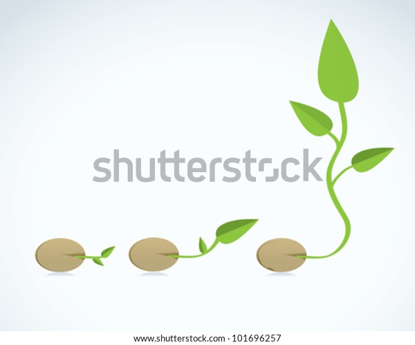 Young Plant Life Process Stock Vector (Royalty Free) 101696257