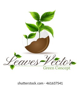 Young plant life process on white background,plants in the pot  sapling growing,Nature concept.