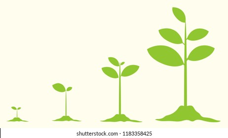 Young plant life process, Tree Growing agriculture icons. Vector Illustration.