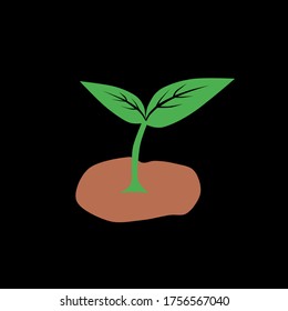 Young plant on a black background 