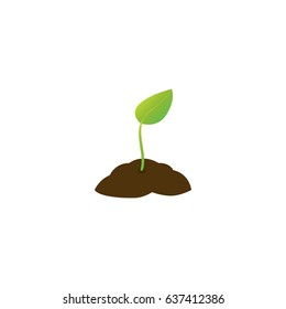 A young plant with one leaf in the ground. Vector illustration.