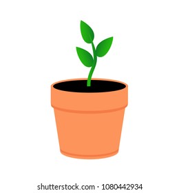 A young plant in an orange pot. Green leaves sprout in pot. Flat style.