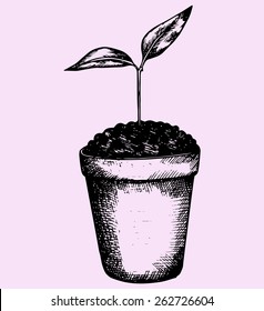 young plant in pot, doodle style, hand drawn