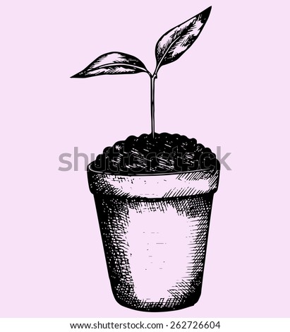 young plant in pot, doodle style, hand drawn