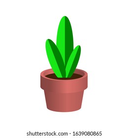 Young plant in a pot. Vector flat design. Isolated object on white. Icon Image for advertising booklets, banners, flyers, logos and articles.