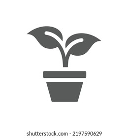 Young plant in a pot vector icon. Potted sprout or seedling with leaves filled symbol.