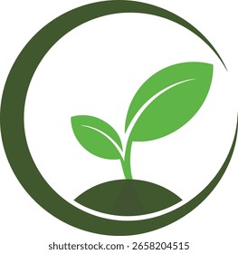 Young Plant Sprout in Circle