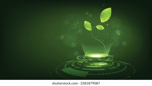 Young plant sprouts on technology background with circuit effect.seedling growth in futuristic polygonal style. Science and agriculture technology concept.