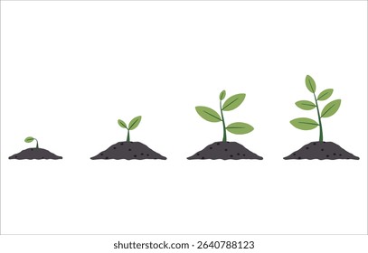 Young plant sprouts vector in soil. Ideal for agriculture, sustainability, and spring designs.