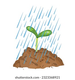 young plant under falling water drops -vector illustration