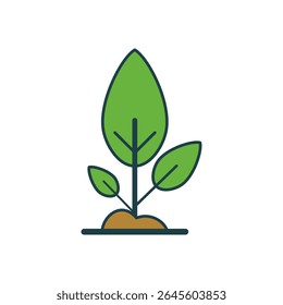 Young plant vector icon with green leaves and soil for eco farming, gardening, or nature themes
