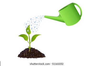 Young plant with watering can and water drops, Isolated On White