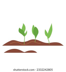 Young plants in the garden. Spring illustration of vegetable garden with sprouts. Gardening vector illustration isolated on white background