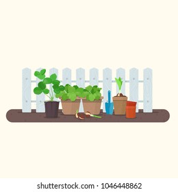 Young plants in plastic and biodegradable peat pots against wood fence. Vector gardening concept