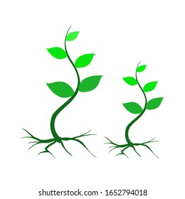 Young plants with roots. gardening. Isolated vector icon on a white background