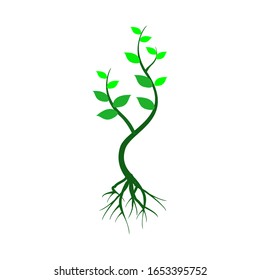 Young plants with roots. gardening. Isolated vector icon on a white background