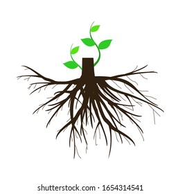 Young plants with roots in the soil. Vector illustration with a white background