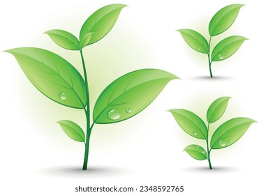 young plants and water drops