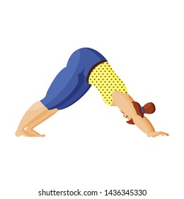 Young plus size woman does yoga. Morning yoga practice. Asana dog face down. Sport for all. Isolated object on white background. Cartoon style.