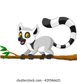 Young raccoon on branch