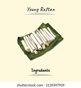Young Rattan Illustration Sketch And Vector Style. Good to use for restaurant menu, Food recipe book and food ingredients content.