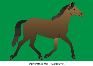 young running horse. vector illustration