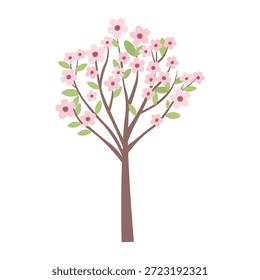 Young sakura tree flat illustration on white background. Blooming sakura tree.