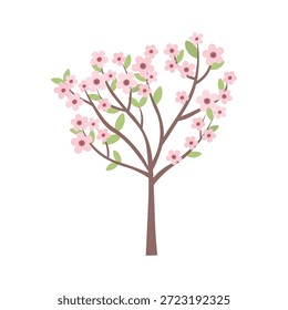 Young sakura tree flat illustration on white background. Blooming sakura tree.