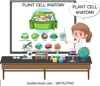 Young scientist explaining the anatomy of the plant cell (Biology Diagram) illustration