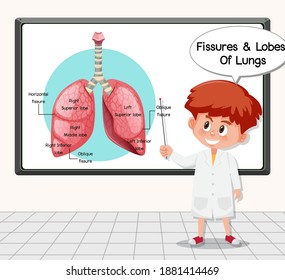 Young scientist explaining fissures and lobes of lungs in front of a board in laboratory illustration
