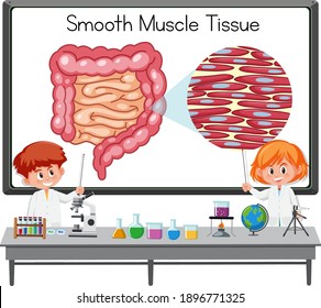 Young scientist explaining smooth muscle tissue in front of a board with laboratory elements illustration