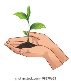 Young seedling in hands
