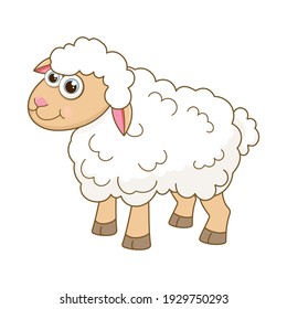 Young Sheep. Cartoon character Lamb isolated on white background. Template of cute farm animal. Education card for kids learning animals. Suitable for decoration and design. Vector in cartoon style