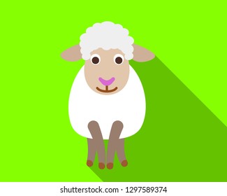 Young sheep icon. Flat illustration of young sheep vector icon for web design