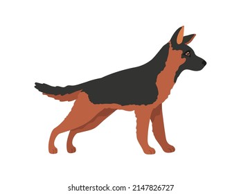 Young shepherd. Cartoon police dog, german shepsherd, vector illustration isolated on white background