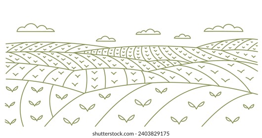 Young shoot field green landscape. Vector line. Editable outline stroke.