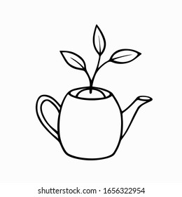 Young shoot with three leaves in a teapot with soil. The concept of awakening, the birth of a new life. Hand-drawn sprout doodle line art. Stock vector illustration isolated on transparent background.