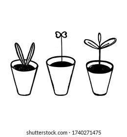 Jóvenes brotes en macetas de flores. Juego de vectores florales. Estilo garabato, plantas forzadas a mano, plántulas en macetas. Dibujo de contorno negro aislado en un fondo blanco, tema de jardinería, primavera.