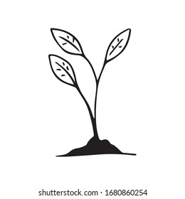 young shoots freehand drawing vector sketch