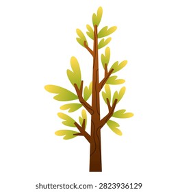 young slender tree sapling with fresh green spring leaves