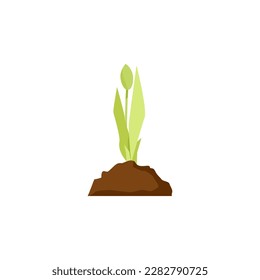 Young small green tulip sprout in a handful of earth