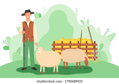 Young smiling shepherd in hat with stick stands near the sheep on green meadow. Haystack, rake, spade. Shepherd on green agriculture and grazing. Attraction and accumulation of capital. Flat image