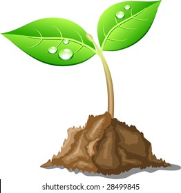 Young sprout in ground. Vector illustration.