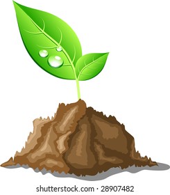 Young sprout in ground. Vector illustration.